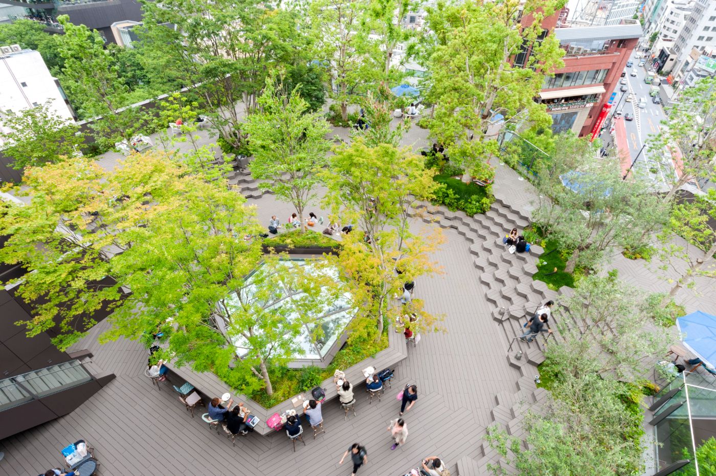 Omokado LOCUL、おもはらの森